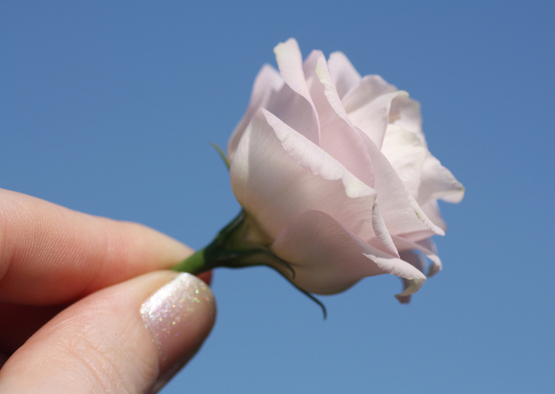 bloem-hand - Sterkte kaarten Sterkte kaarten - bloem-hand