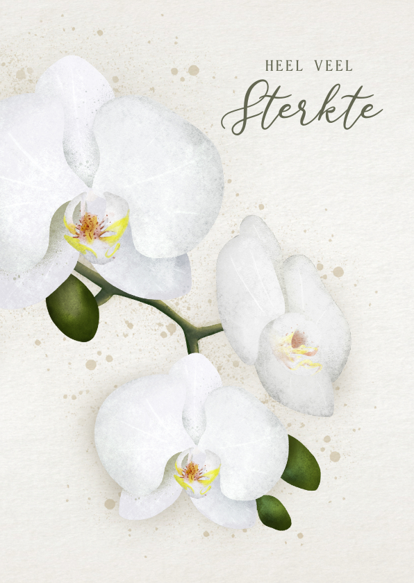 Sterkte kaarten - Klassieke sterktekaart met een witte orchidee