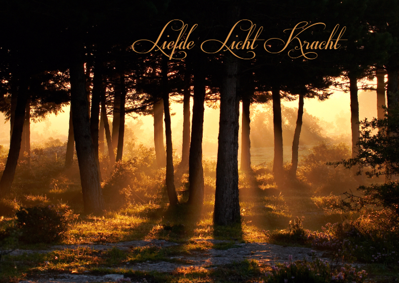 Liefde licht kracht-isf - Sterkte kaarten Sterkte kaarten - Liefde licht kracht-isf