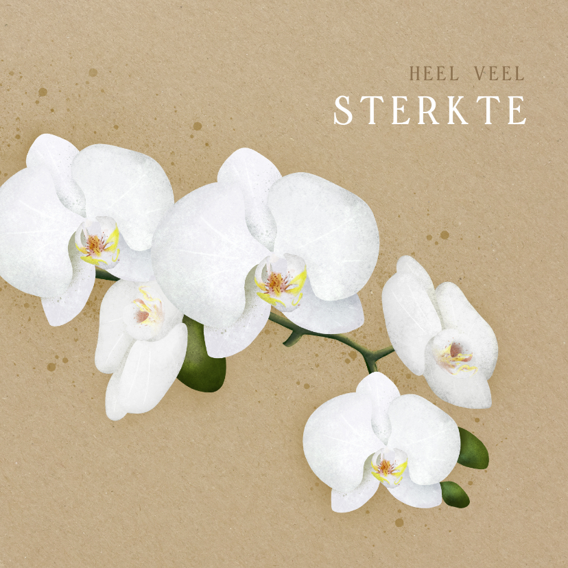 Sterkte kaarten - Moderne sterktekaart met een witte orchidee op kraft