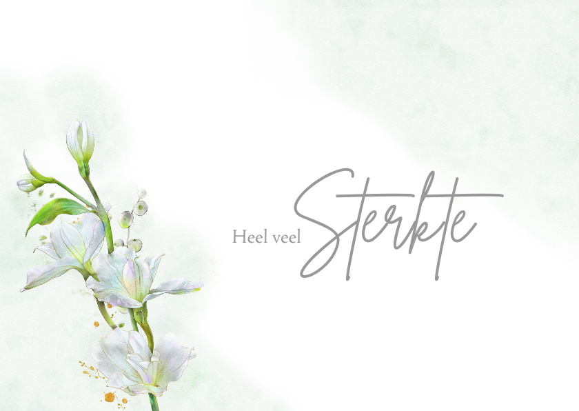 Sterkte kaarten - Mooie sterktekaart met afbeelding van witte bloemen