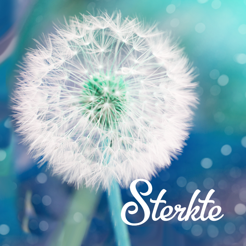 Paardebloem sterkte kaart - Sterkte kaarten Sterkte kaarten - Paardebloem sterkte kaart