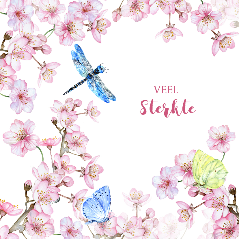 Sterkte bloesem vlinders - Sterkte kaarten Sterkte kaarten - Sterkte bloesem vlinders