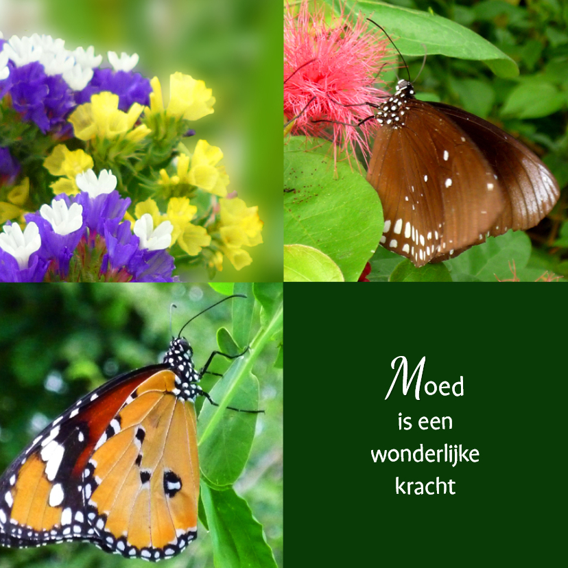 Sterkte en moed - Sterkte kaarten Sterkte kaarten - Sterkte en moed