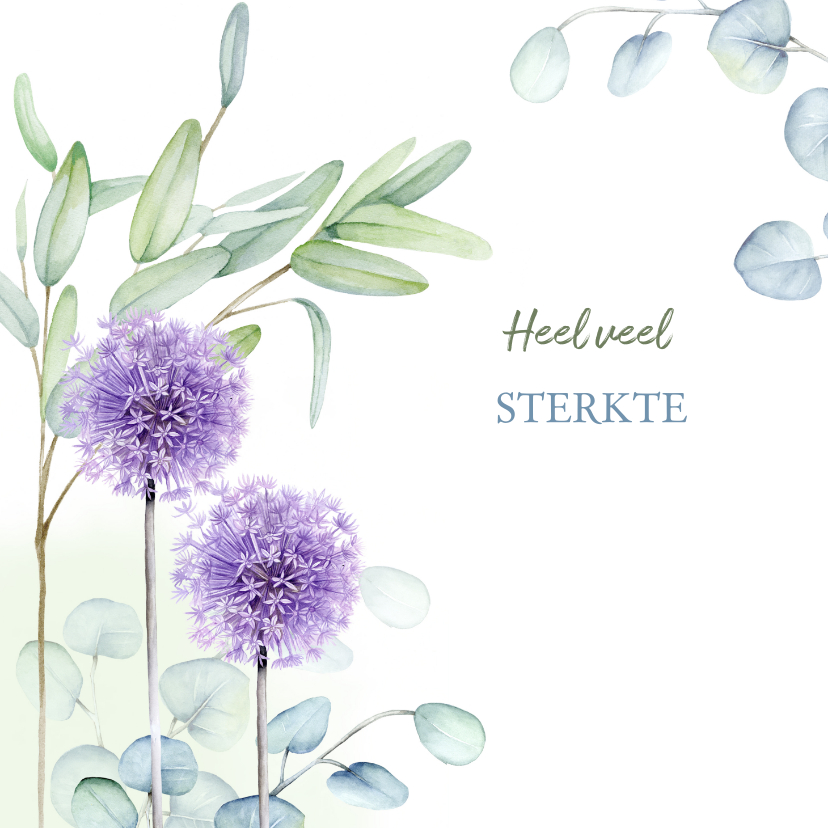 Sterkte kaarten - Sterkte Eucalyptus bloemen