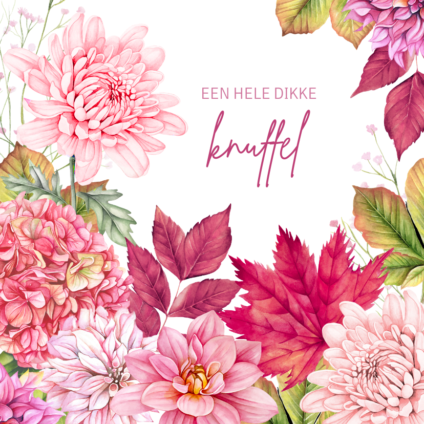 Sterkte herfstbloemen roze - Sterkte kaarten Sterkte kaarten - Sterkte herfstbloemen roze