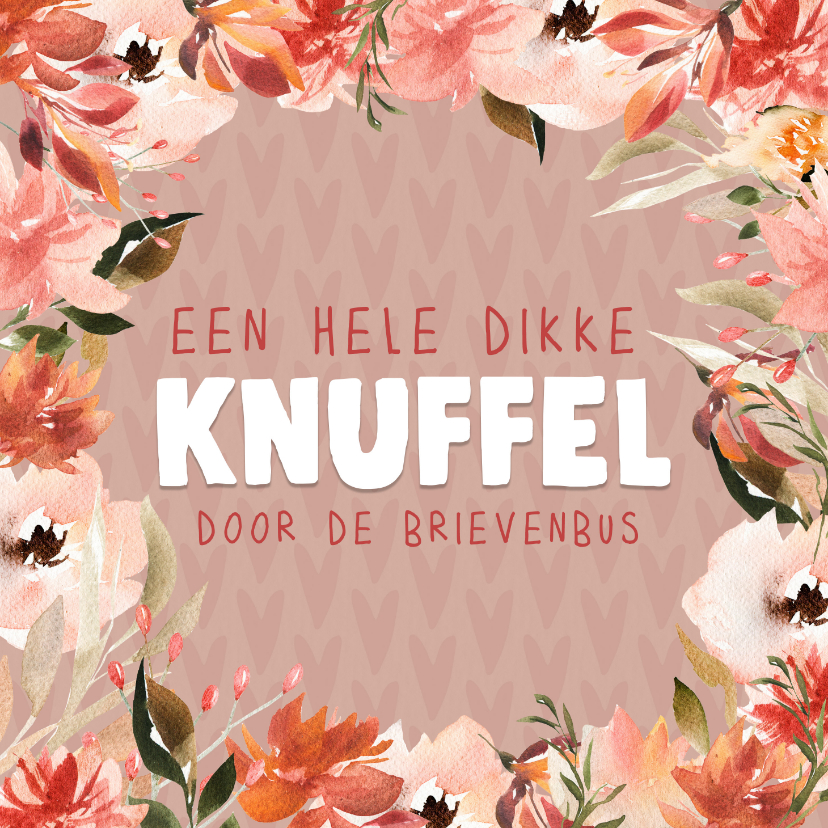 Sterkte kaarten - Sterkte kaart - dikke knuffel door de brievenbus