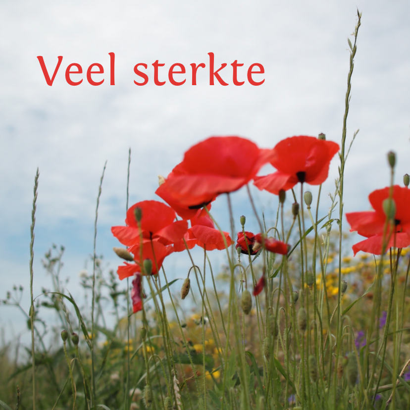 sterkte kaart klaproos -LB - Sterkte kaarten Sterkte kaarten - sterkte kaart klaproos -LB