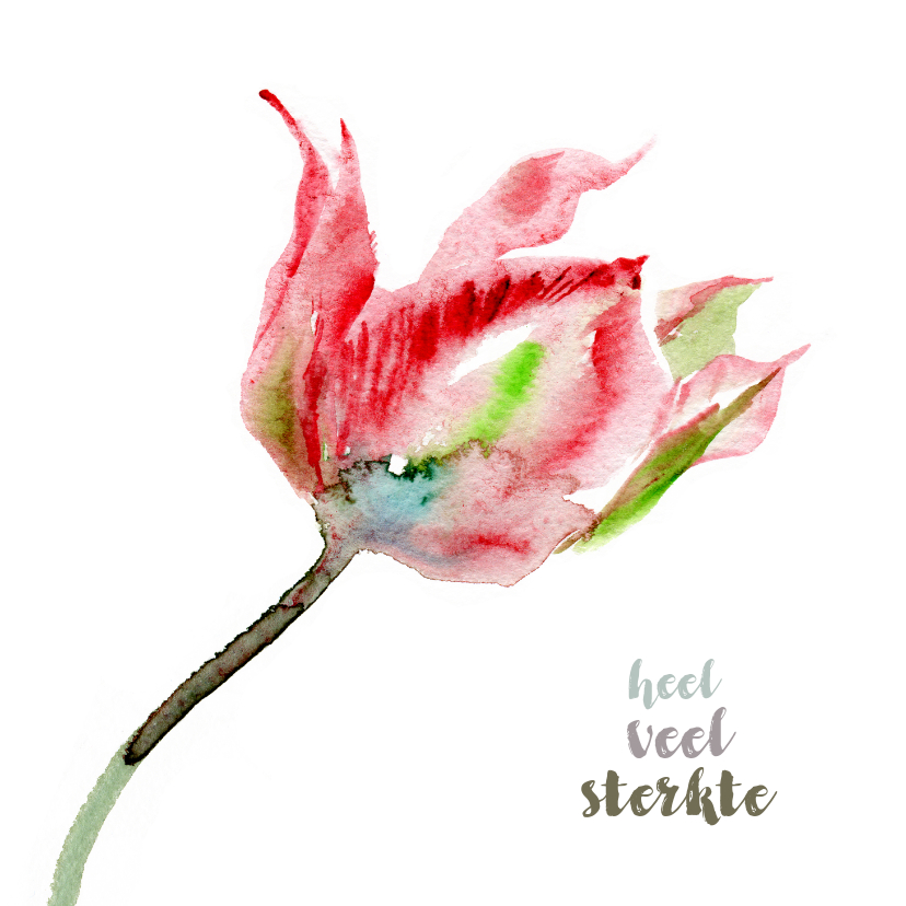 Sterkte kaarten - Sterkte kaart met tulp aquarel 