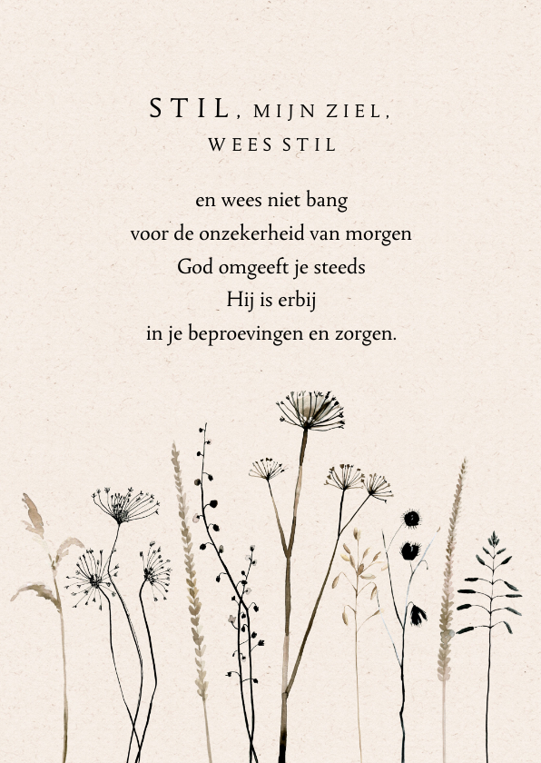 Sterkte kaarten - Sterkte kaart opwekking 717 beige droogbloemen