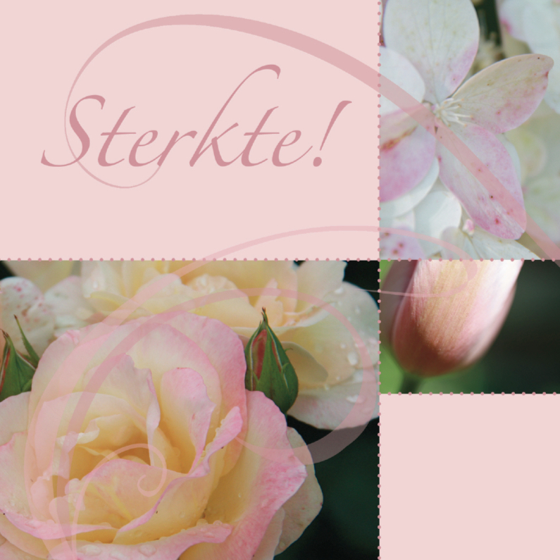 Sterkte kaart poederkleur - Sterkte kaarten Sterkte kaarten - Sterkte kaart poederkleur
