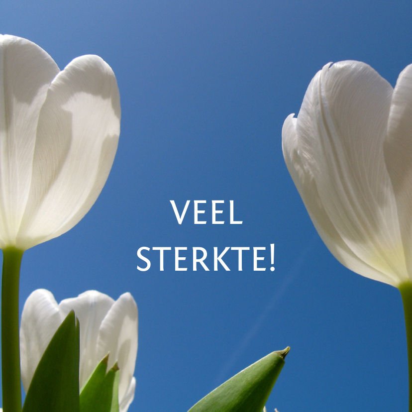 sterkte kaart tulpen II - LB - Sterkte kaarten Sterkte kaarten - sterkte kaart tulpen II - LB