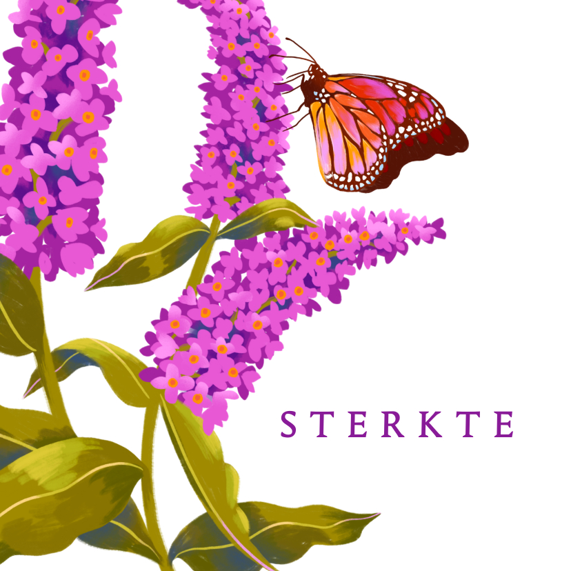 Sterkte kaarten - Sterkte kaart vlinder paarse bloemen
