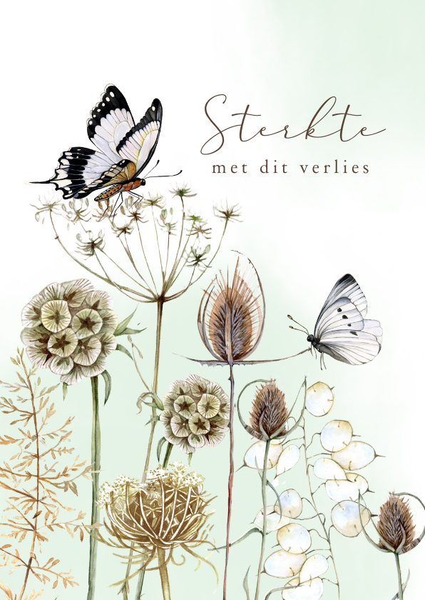 Sterkte kaarten - Sterkte kaartje botanische takken met vlinder