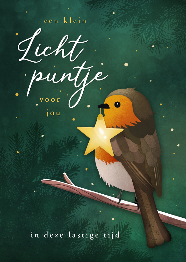 Sterkte kaarten - Sterkte kaartroodborstje als lichtpuntje in de winter