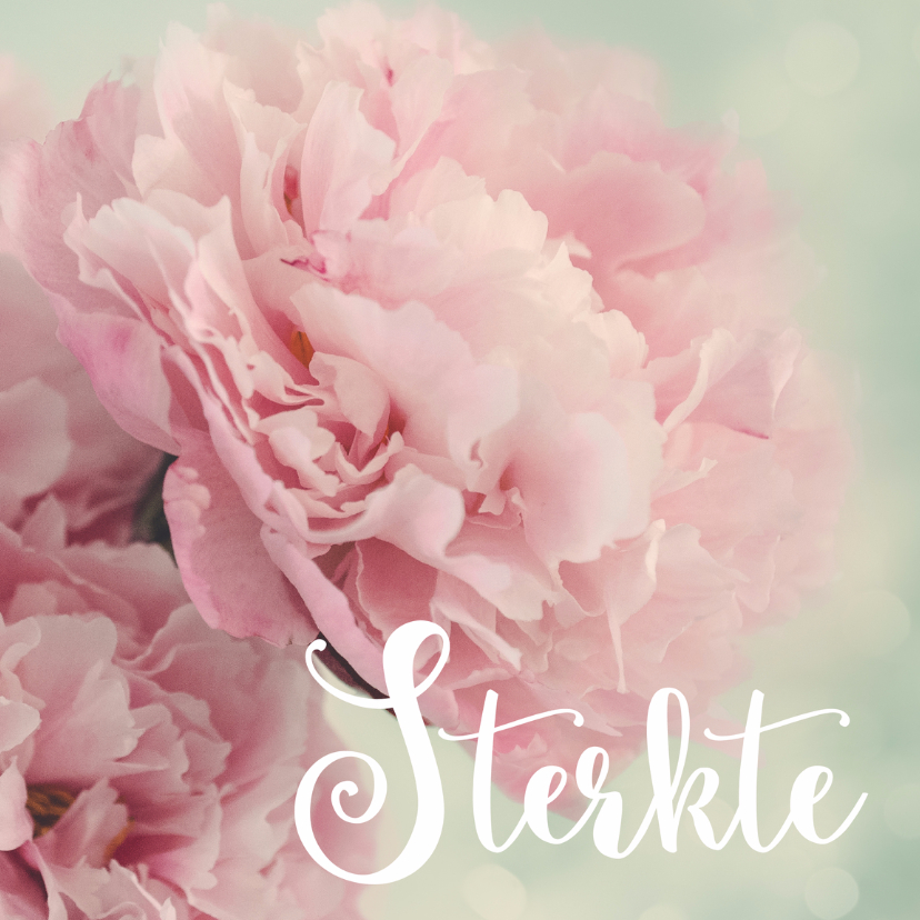 Sterkte - Pastel Pioenroos - Sterkte kaarten Sterkte kaarten - Sterkte - Pastel Pioenroos