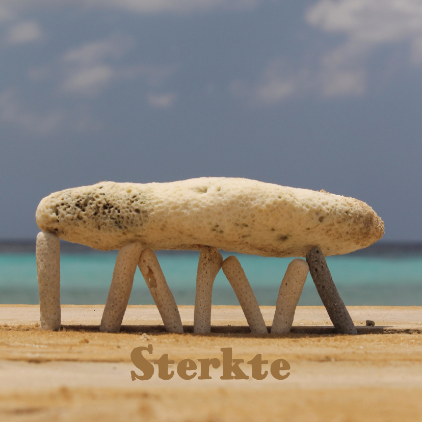 Sterkte Steen Zee Zon - Sterkte kaarten Sterkte kaarten - Sterkte Steen Zee Zon