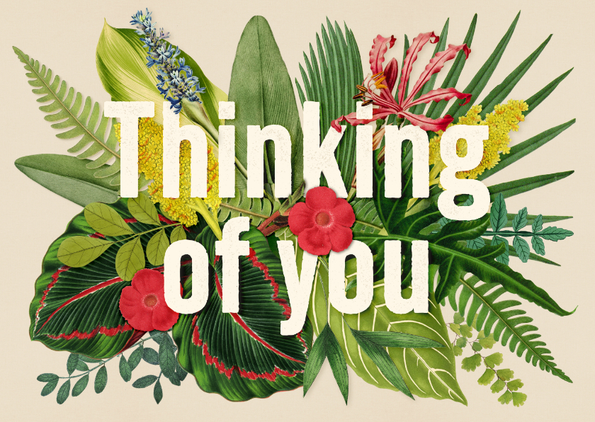Sterkte kaarten - Sterkte thinking of you kaart planten en bloemencollage 