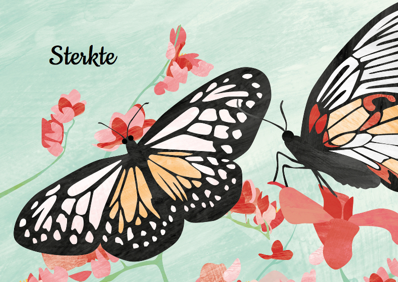 Sterkte - vlinders en bloemen - Sterkte kaarten Sterkte kaarten - Sterkte - vlinders en bloemen