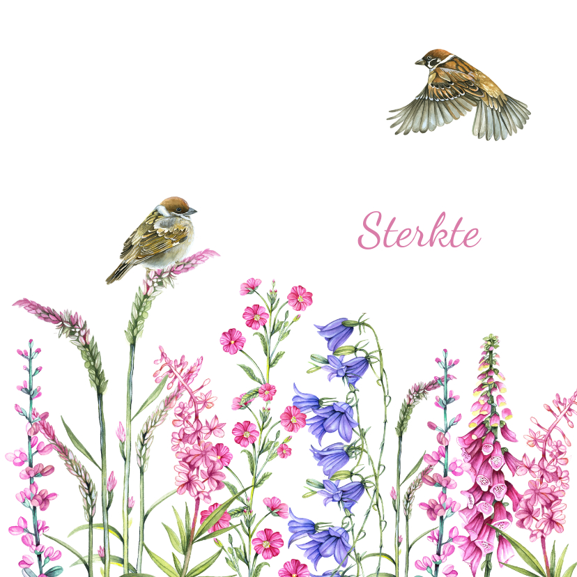 Sterkte kaarten - Sterkte vogeltjes bloemen