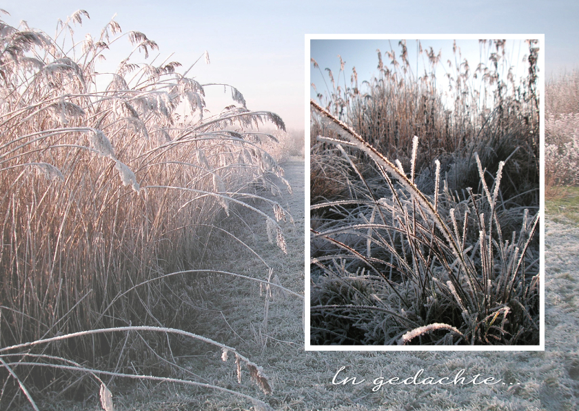 Sterkte Winters landschap - Sterkte kaarten Sterkte kaarten - Sterkte Winters landschap