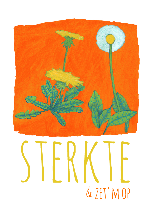 sterkte-zet'm op-kk - Sterkte kaarten Sterkte kaarten - sterkte-zet'm op-kk