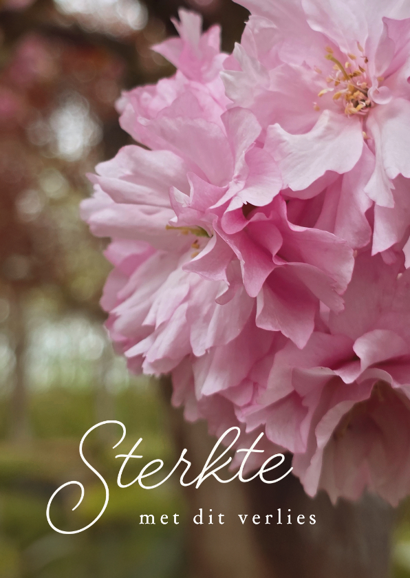 Sterkte kaarten - Sterktekaart bloesem in bloei sterkte met dit verlies