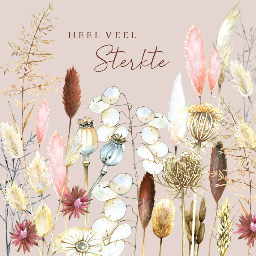 Sterkte kaarten - Sterktekaart droogbloemen takken