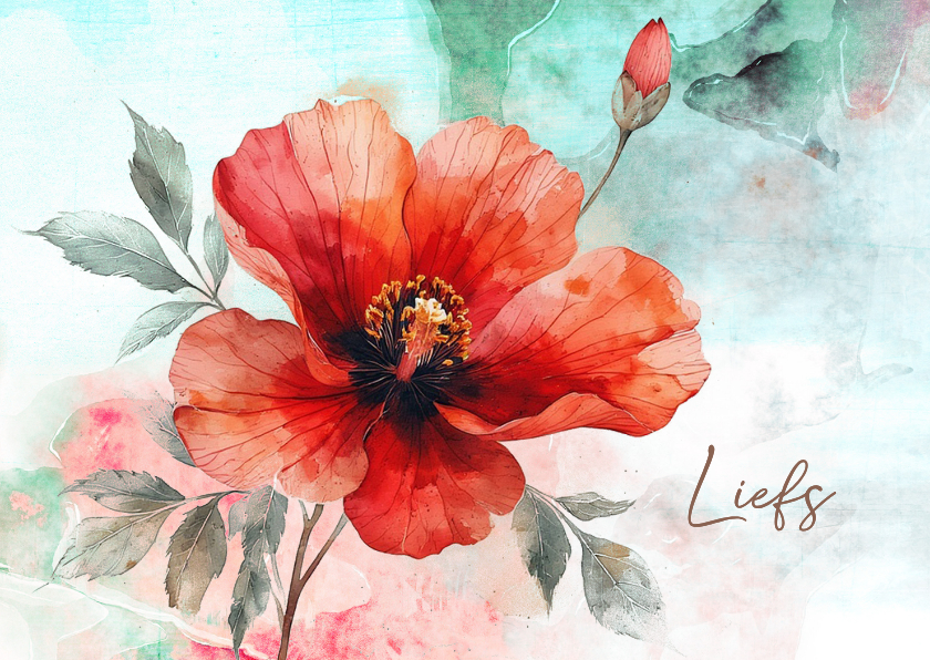 Sterkte kaarten - Sterktekaart helleborus in bloei