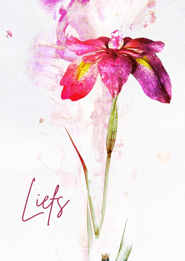 Sterkte kaarten - Sterktekaart iris bloem paint