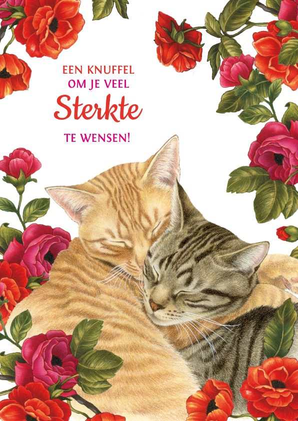 Sterkte kaarten - Sterktekaart knuffelende katten