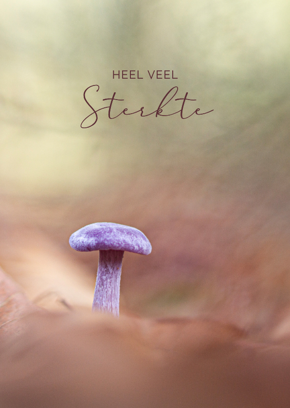 Sterktekaart met paddenstoel in het bos - Sterkte kaarten Sterkte kaarten - Sterktekaart met paddenstoel in het bos