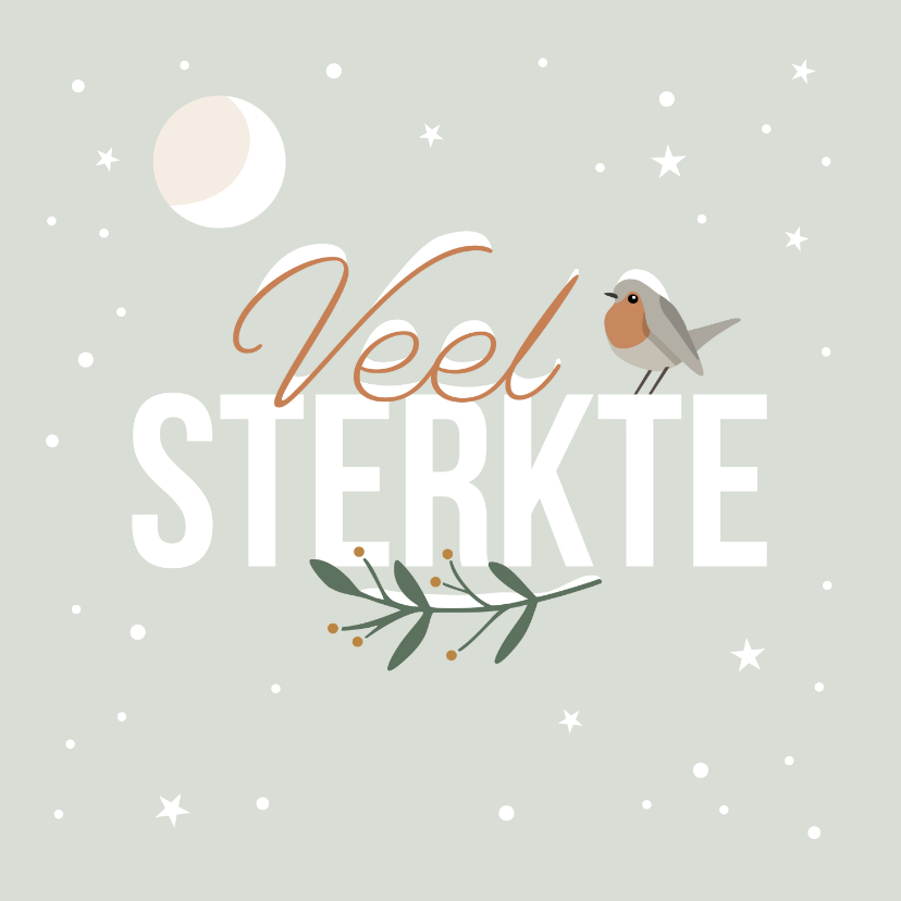 Sterkte kaarten - Sterktekaart met roodborstje in wintersfeer