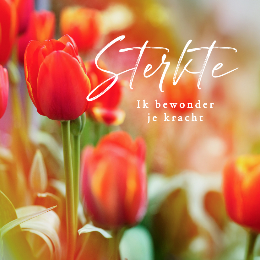 Sterkte kaarten - Sterktekaart tulpen bloemen stijlvol ernstig ziek