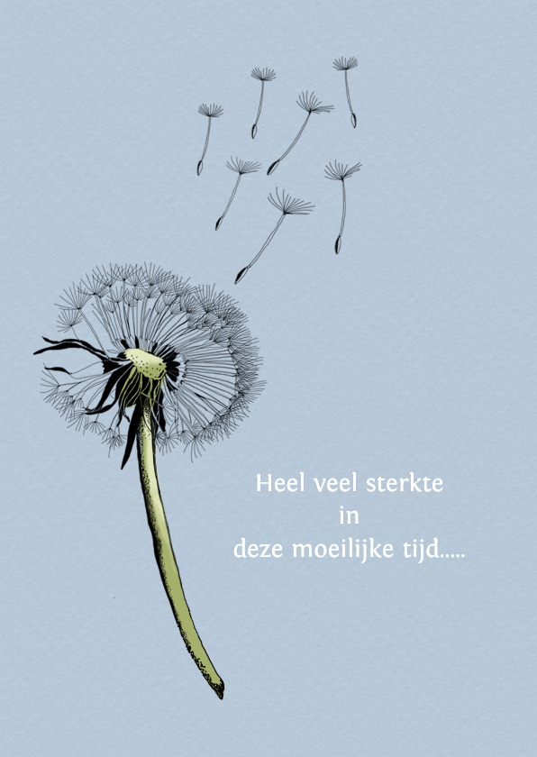Sterkte kaarten - Sterktekaart uitgebloeide paardebloem