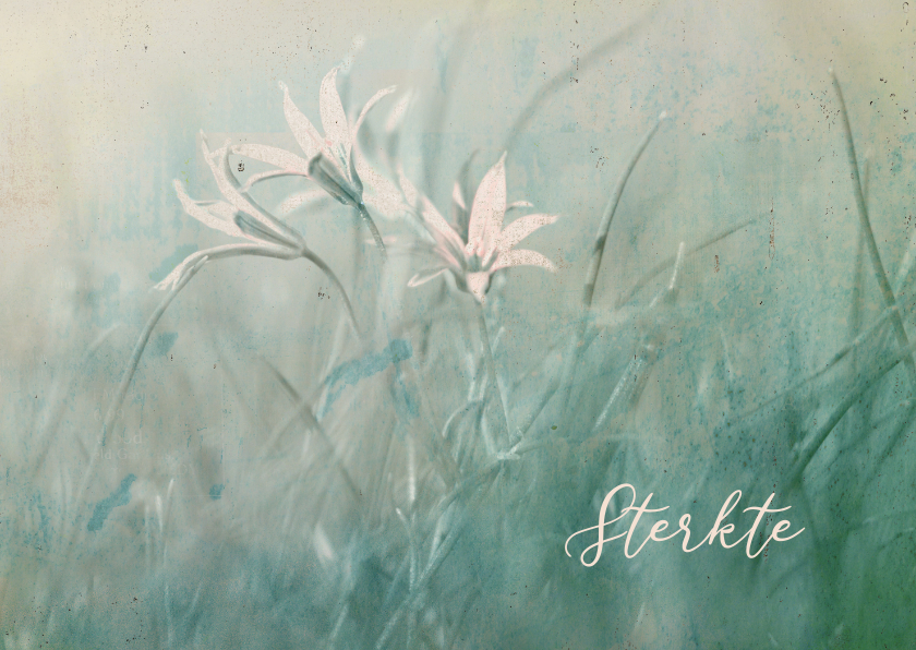 Sterktekaart vintage filter veldbloemen - Sterkte kaarten Sterkte kaarten - Sterktekaart vintage filter veldbloemen