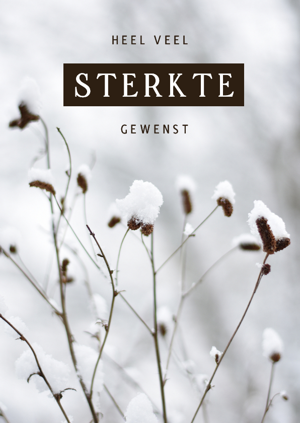 Sterkte kaarten - Stijlvolle sterkte kaart winter met besneeuwde plantjes