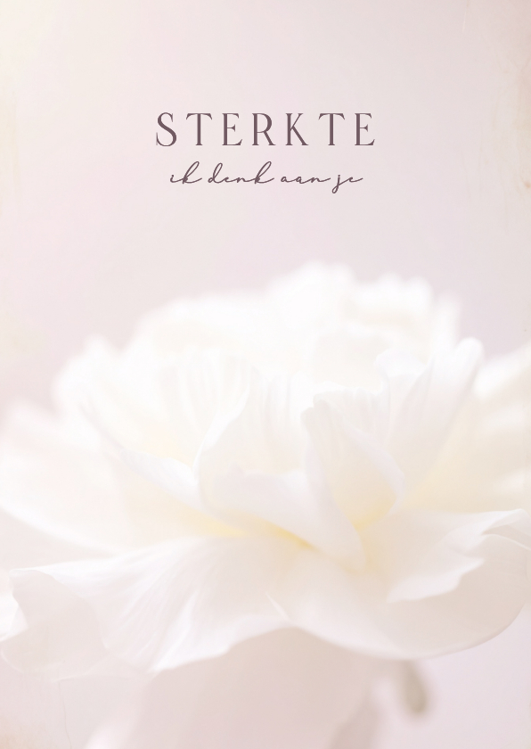 Sterkte kaarten - Subtiel roze sterktekaartje met witte bloem