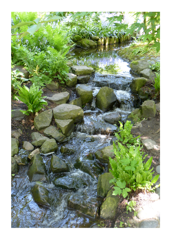 Waterval in het groen - Sterkte kaarten Sterkte kaarten - Waterval in het groen