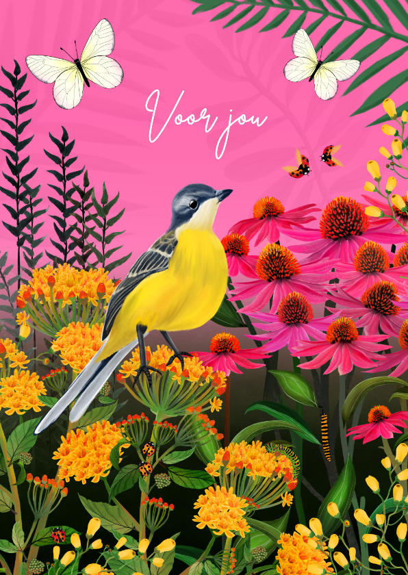 Sterkte kaarten - Wenskaart met vogel, vlinders en lieveheersbeestjes