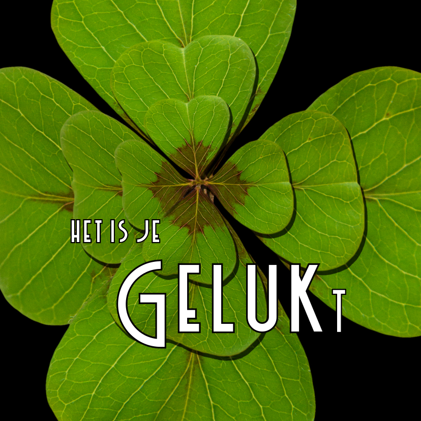 Felicitatie Klavertje GELUKt -OT - Succes kaarten Succes kaarten - Felicitatie Klavertje GELUKt -OT