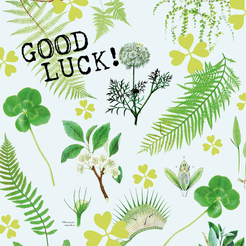 Good Luck kaart botanisch met klavertjes vier - Succes kaarten Succes kaarten - Good Luck kaart botanisch met klavertjes vier