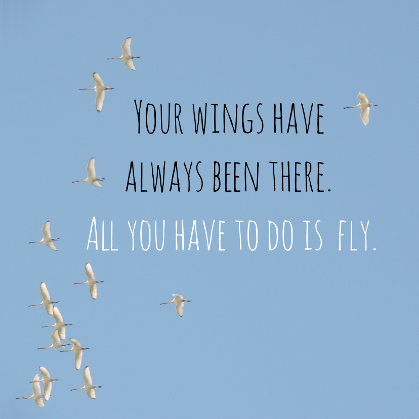 Succes kaart vogels fly - Succes kaarten Succes kaarten - Succes kaart vogels fly