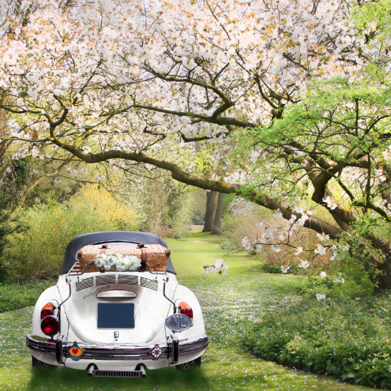 Trouwen met witte oldtimer-kleur - Trouwkaarten Trouwkaarten - Trouwen met witte oldtimer-kleur