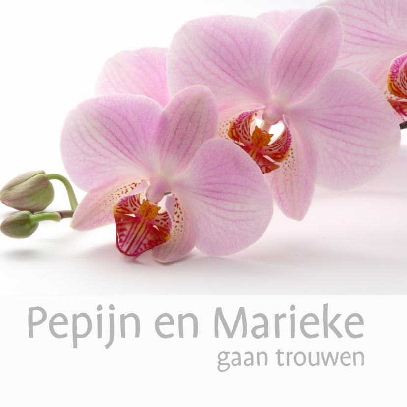 Trouwkaart met orchidee - Trouwkaarten Trouwkaarten - Trouwkaart met orchidee