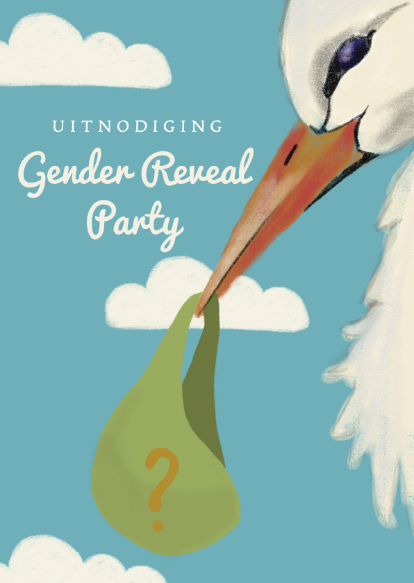 Uitnodigingen - Uitnodiging gender reveal party met illustratie van ooievaar