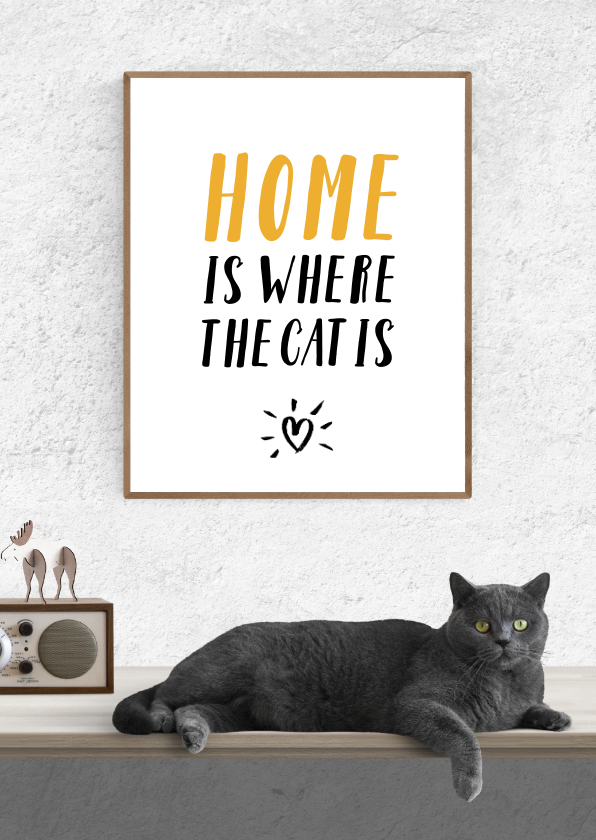Uitnodigingen - Uitnodiging Home is where the cat is