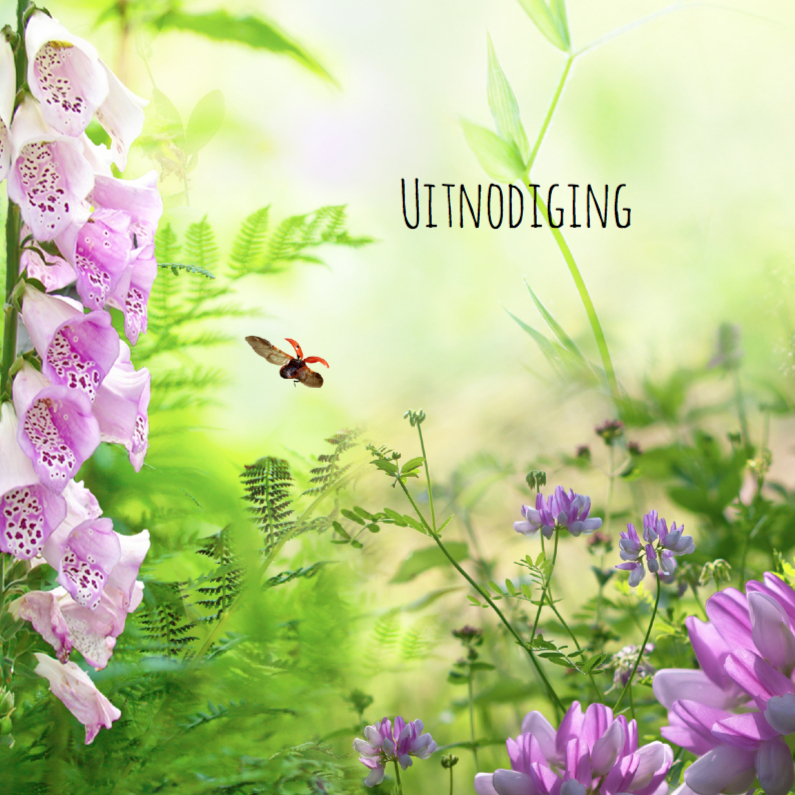 Uitnodiging met zomerse uitstraling - Uitnodigingen Uitnodigingen - Uitnodiging met zomerse uitstraling