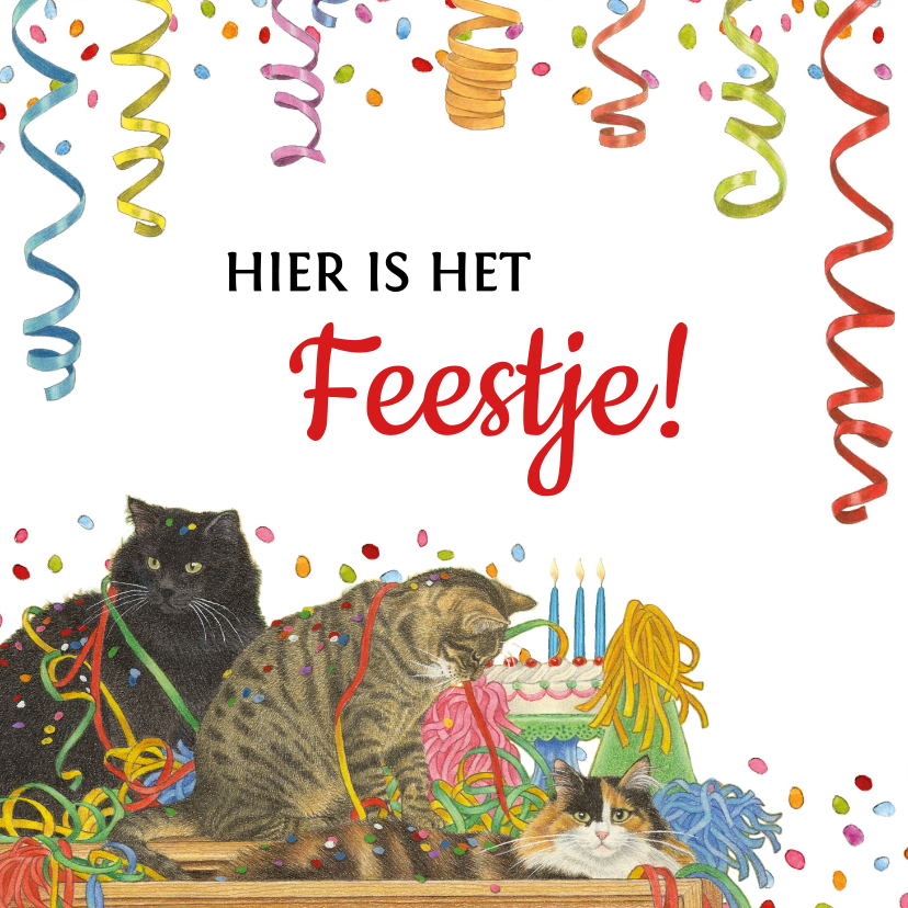 Uitnodigingen - Uitnodigingskaart met feestelijke katten en confetti