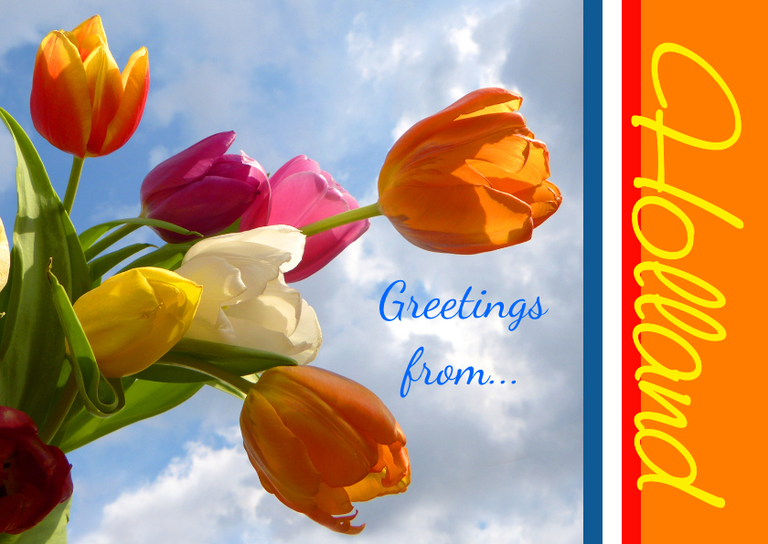 Ansicht Holland Greeting Tulips - Vakantiekaarten Vakantiekaarten - Ansicht Holland Greeting Tulips